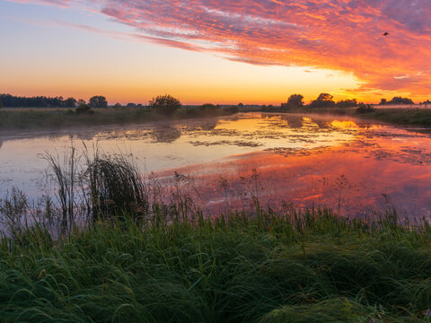 sunrise over the river with reeds