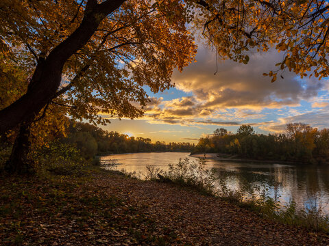 autumn in the forest