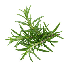 Fototapeta premium Artfully arranged vibrant emerald green rosemary sprigs, needle-like leaves, against a pristine transparent background with copy space, macro photography. Concept for culinary ingredient advertising
