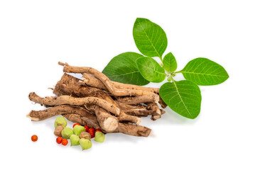 Ashwagandha Dry Root Medicinal Herb with Fresh Leaves, also known as Withania Somnifera. Ashwaganda Indian Ginseng Powder in isolated on white background.