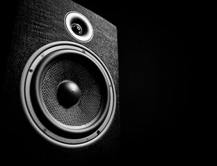 Close-up black and white photo of a large speaker showing the cone and tweeter