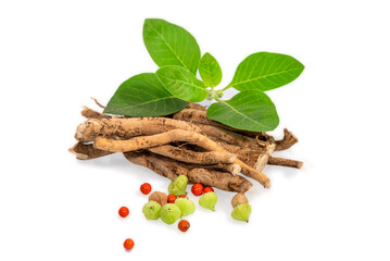 Ashwagandha Dry Root Medicinal Herb with Fresh Leaves, also known as Withania Somnifera. Ashwaganda Indian Ginseng Powder in isolated on white background.