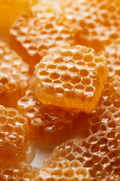 Natural Raw Honeycomb on White Background &ndash; Wild Honey Texture Flat Lay with Copy Space