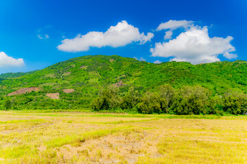 Fields and plantations.

Surroundings of Nha Trang city in Vietnam. Khanh Hoa Province. 