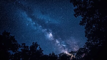 A starry night sky with the Milky Way visible through the trees, with a silhouette of a forest in the foreground and a clear, dark blue sky with stars and a few clouds.