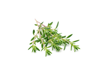 Thyme fresh isolated on white background.