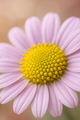 macro shot of flower center with soft bokeh