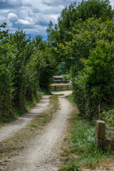 Rural Gravel Path Through Dense Green Trees Leading to a Wooden Gate