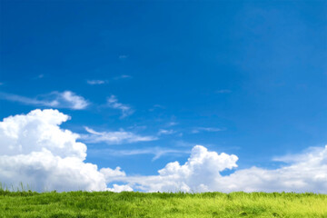 Sky above grass: A vibrant depiction of nature's beauty, with a brilliant blue sky dominating the scene, complemented by lush, green grass below, all set under the warmth of sunlight.