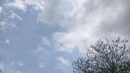 Partly Cloudy Sky with Green Tree Branches