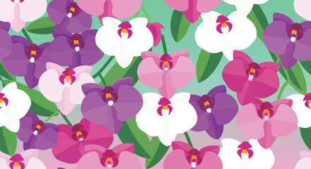 An illustration of assorted orchids in shades of purple, pink, and white, with green leaves against a light teal background.