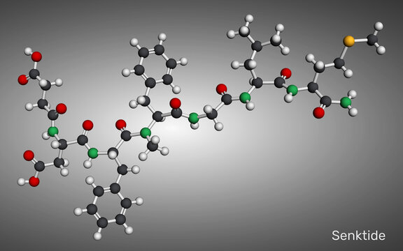 Senktide molecule. Synthetic tachykinin peptide and NK3 receptor agonist, used in neuroendocrine and pharmacological research. Molecular model. 3D rendering. Illustration