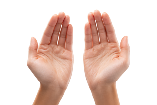 Pair of Human Hands with Open Palms Showing Skin Tone and Natural Texture