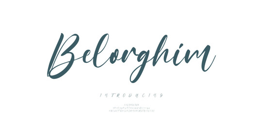 calligraphy alphabet capital lettering a to z font family