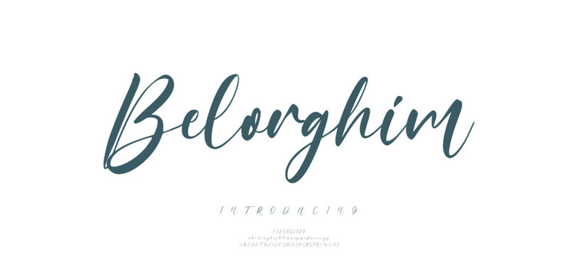 calligraphy alphabet capital lettering a to z font family