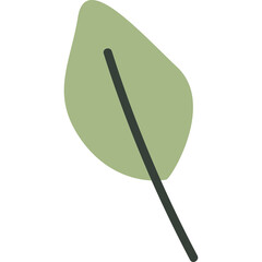 Simple Illustration Of A Light Green Leaf With A Dark Stem Against A White Transparent Background