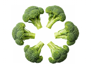 Fresh broccoli florets arranged in circular pattern