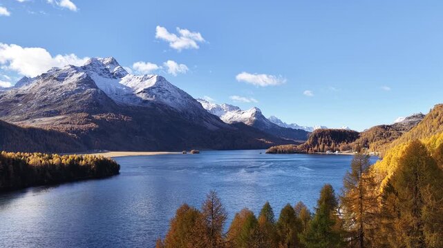Aerial panorama of the Upper Engadin valley, featuring the deep blue water of Lake Sils, Silvaplana. The landscape is dominated by vibrant golden larch forests and backed by snow-capped peaks