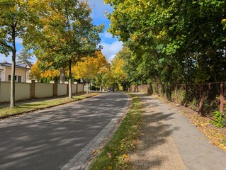 Obraz premium Bürgersteig und Straße in Birkenwerder, Brandenburg - Herbstsaison