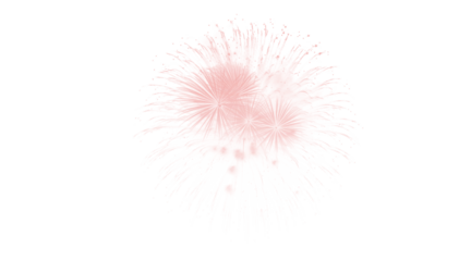 Delicate pink radial burst with flowing light streaks, dynamic abstract design element