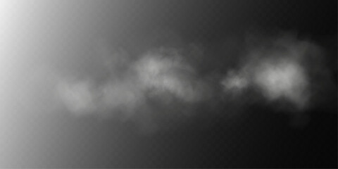 Fototapeta premium White smoke or fog on a dark background vector illustration