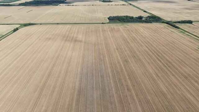 An expansive aerial view showcases vast, golden agricultural fields marked with distinct tire tracks from harvesting machinery, indicating recent activity under a bright, partly cloudy sky in Canada