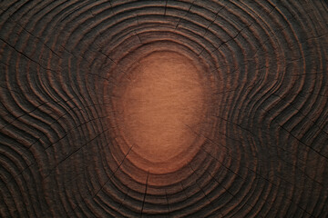 Wooden surface displaying intricate patterns and textures from years of natural growth and aging in a close-up view