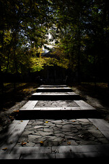 stairs in the park in the evening in autumn
