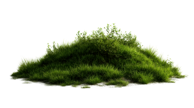 Green grass mound with foliage and soil ground