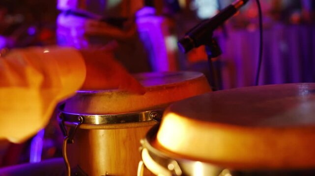 Enjoying lively conga rhythms at a vibrant music event