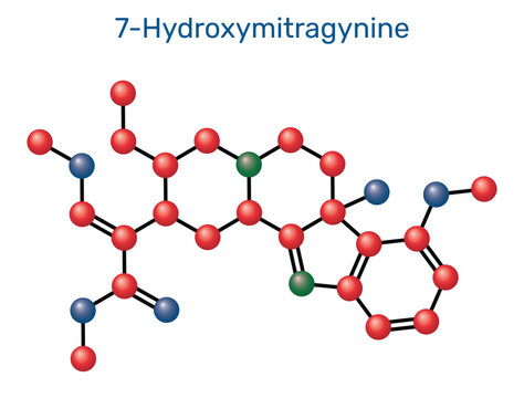 7-Hydroxymitragynine indole alkaloid from kratom. Chemical structure. Molecular model. Vector Illustration