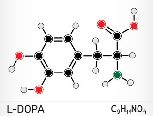 L-DOPA, levodopa molecule, biochemical precursor of dopamine and other catecholamine neurotransmitters, used in Parkinson’s disease therapy. Vector illustration