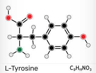 L-Tyrosine molecule, amino acid precursor for dopamine, norepinephrine and epinephrine synthesis. Vector illustration
