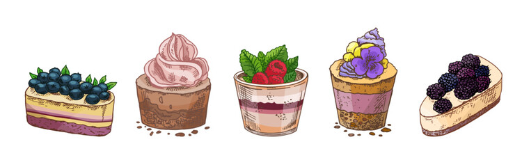 Tasty Creamy Sweet Dessert. Vintage Vector Monochrome Illustration. Hand drawn sketch of Delicious Cake With  blueberries.  Design Gastronomy Product element.