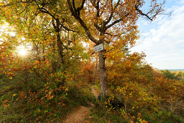 Point of view of the Arbonne Camp in Fontainebleau forest