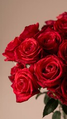 Obraz premium Vertical banner, wallpaper for social media of Vibrant red rose flowers in a lush bunch, with delicate petals and soft, gentle textures, set against a neutral background, accentuates