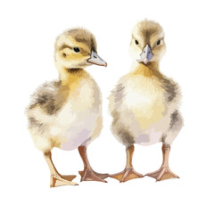 Two Adorable Ducklings with Detailed Feathers and Curious Gazes Side by Side
