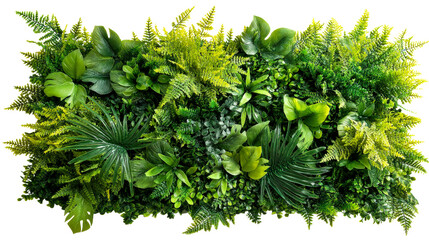 Fototapeta premium Varied Green Foliage Wall Covering