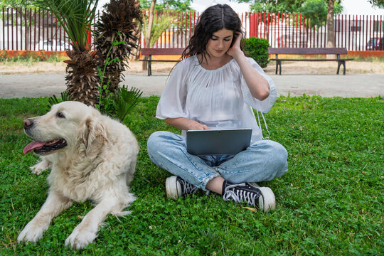 Freelancer working on laptop outdoors with golden retriever dog