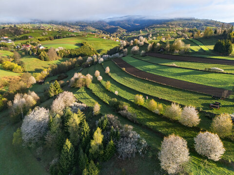 Aerial view of the verdant patchwork of fields and orchards, a symphony of rural charm unfolding beneath the gaze of distant, hazy mountains, Hrinova, Banskobystricky kraj, Slovakia.