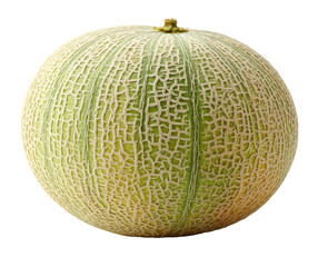 A close-up shot of a cantaloupe melon, showing its textured rind and shape.