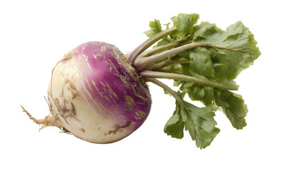 Close-up shot of a fresh turnip with its green leafy top, isolated on white.