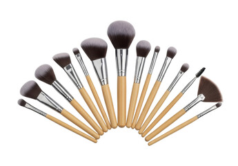 A collection of various makeup brushes arranged in a semi-circular fan shape.