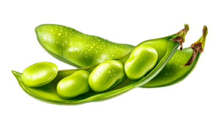Fresh Edamame Pods with Water Droplets