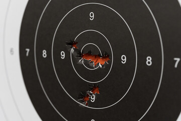 Macro close-up of multiple bullet holes impacting the center bullseye of a paper shooting target, showing high accuracy.
