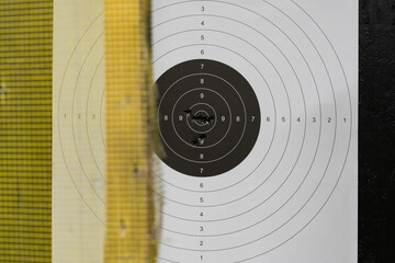 Target practice results showing excellent accuracy with a tight cluster of bullet holes in the bullseye.