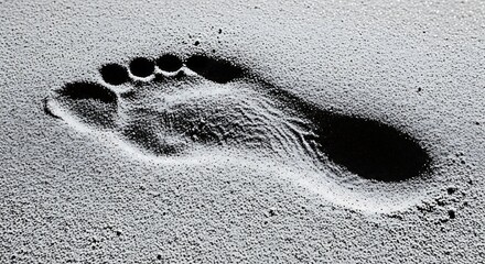 A single footprint pressed into the sand on a beach, showing texture and detail