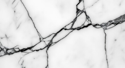 Closeup view of white marble with black veins, showcasing its natural texture and pattern