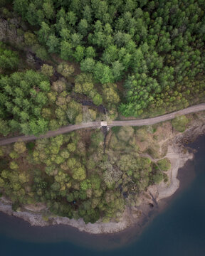 Aerial view of a path cutting through vibrant green forests, leading to the water's edge in an enchanting display of nature's artistry, Cumbria, England, United Kingdom.