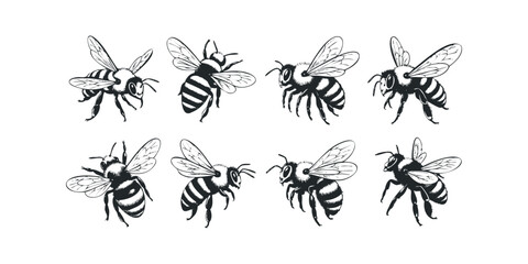 Collection of Black and White Bee Illustrations in Various Poses